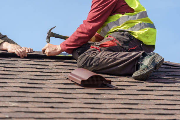 Best Metal Roofing Contractor  in Loch Lomond, VA