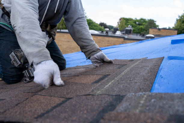 Best Roof Repair Services  in Loch Lomond, VA
