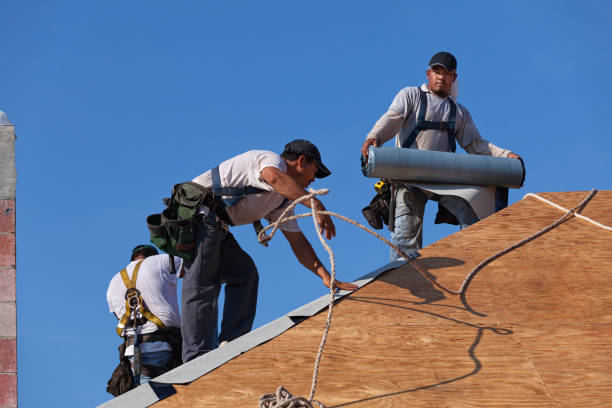 Best Roof Waterproofing Services  in Loch Lomond, VA